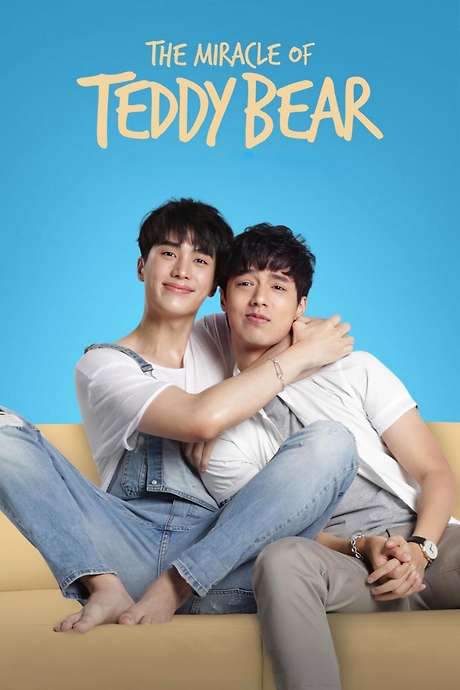 The Miracle of Teddy Bear